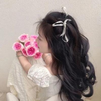 我家的陌生人 在线观看